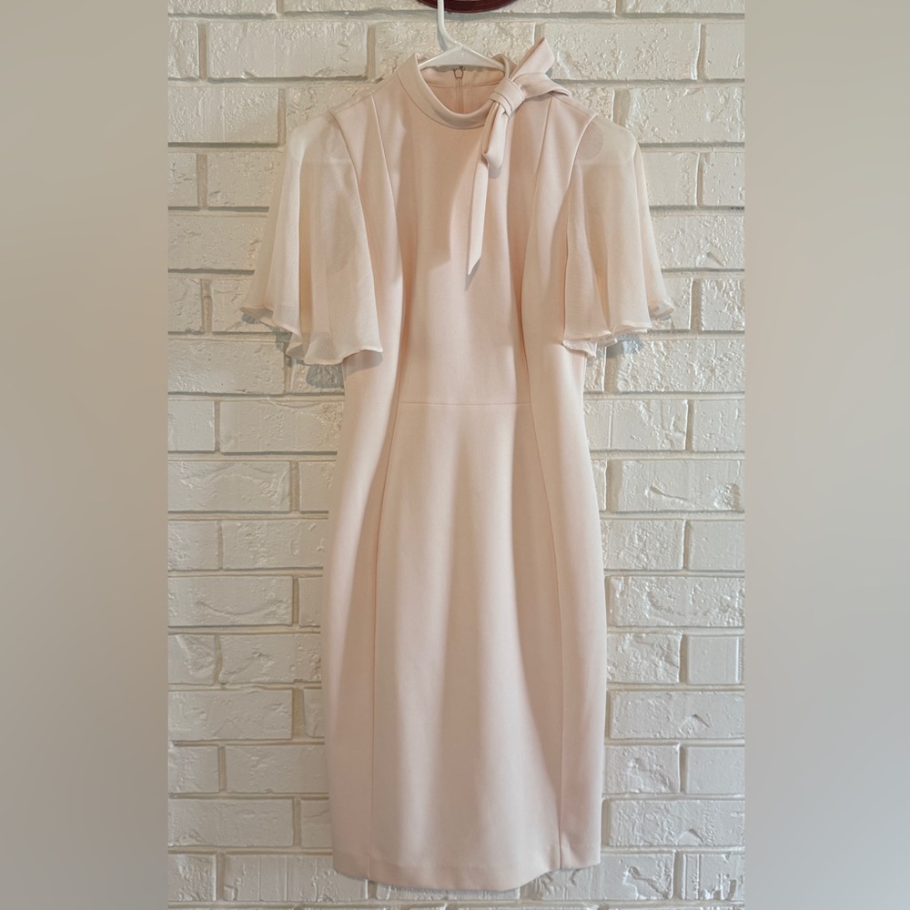 Calvin Klein Dress with Sheer Sleeves and faux tie neck